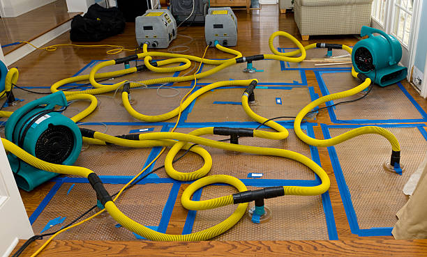 Professional Crawl Space Water Removal technician working in Belmont, MI